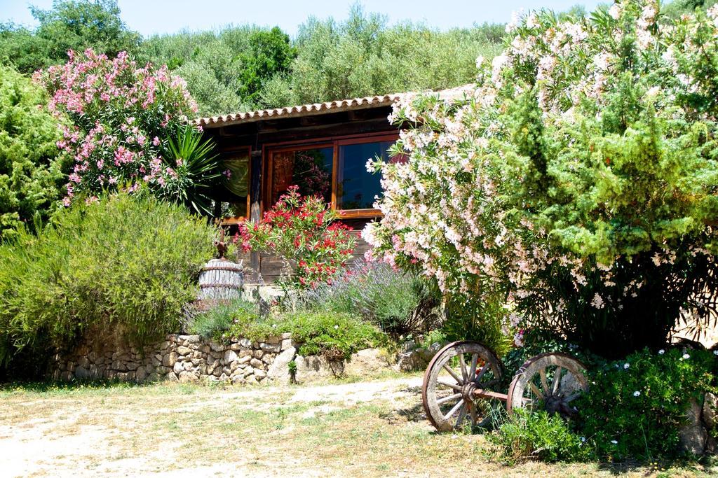 Agriturismo Sardo Villa Campavaglio Luaran gambar