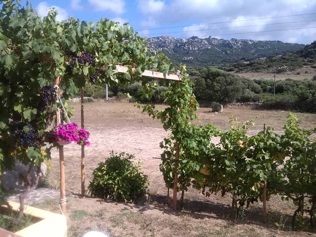 Agriturismo Sardo Villa Campavaglio Luaran gambar