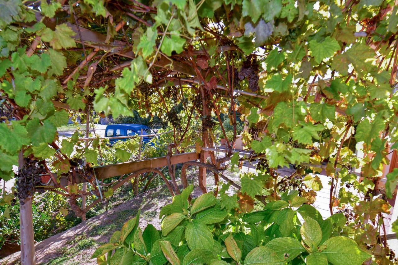 Agriturismo Sardo Villa Campavaglio Luaran gambar